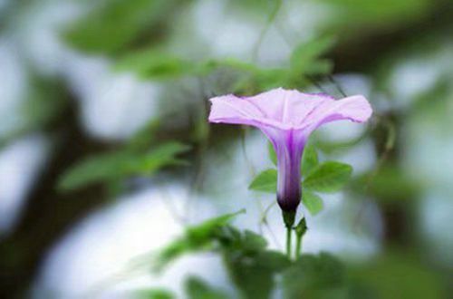 抖音标题点赞多的说说 霸气的抖音标题