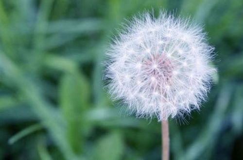 雨水节气朋友圈文案 雨水节气的说说句子